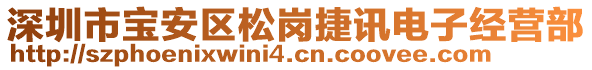 深圳市寶安區(qū)松崗捷訊電子經(jīng)營部