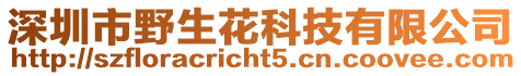 深圳市野生花科技有限公司