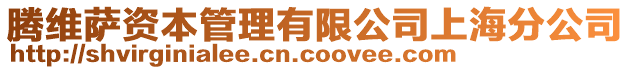 腾维萨资本管理有限公司上海分公司