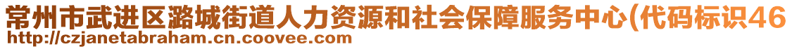 常州市武進區(qū)潞城街道人力資源和社會保障服務中心(代碼標識46