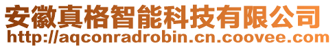 安徽真格智能科技有限公司