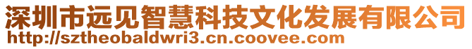 深圳市遠(yuǎn)見(jiàn)智慧科技文化發(fā)展有限公司