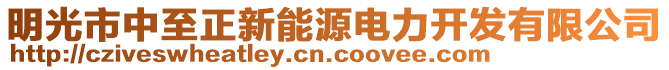 明光市中至正新能源電力開發(fā)有限公司