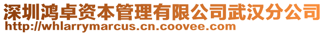 深圳鴻卓資本管理有限公司武漢分公司