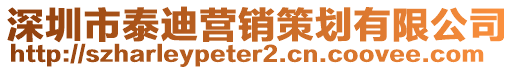 深圳市泰迪營銷策劃有限公司