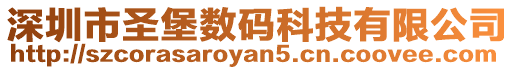 深圳市圣堡數(shù)碼科技有限公司