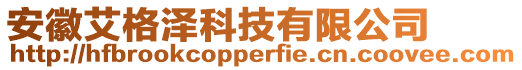 安徽艾格澤科技有限公司