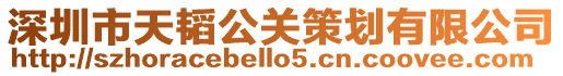 深圳市天韜公關(guān)策劃有限公司