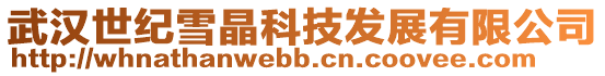 武漢世紀(jì)雪晶科技發(fā)展有限公司