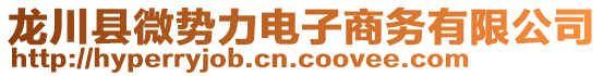 龍川縣微勢力電子商務有限公司