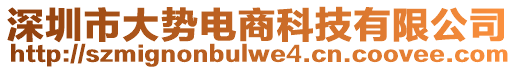 深圳市大勢(shì)電商科技有限公司
