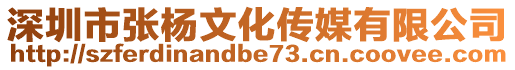 深圳市張楊文化傳媒有限公司