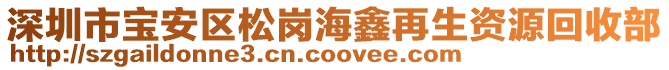 深圳市寶安區(qū)松崗海鑫再生資源回收部