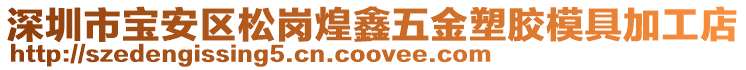 深圳市寶安區(qū)松崗煌鑫五金塑膠模具加工店
