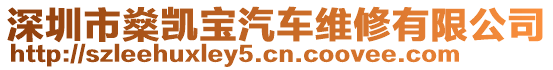深圳市燊凱寶汽車維修有限公司