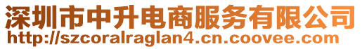 深圳市中升電商服務有限公司
