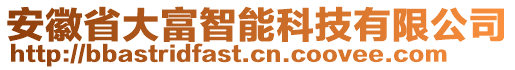 安徽省大富智能科技有限公司