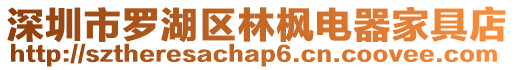 深圳市羅湖區林楓電器家具店