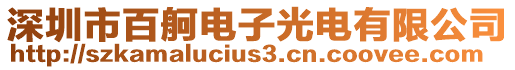 深圳市百舸電子光電有限公司