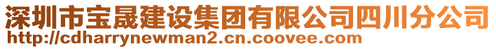 深圳市寶晟建設(shè)集團(tuán)有限公司四川分公司