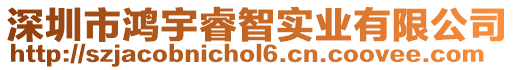 深圳市鴻宇睿智實(shí)業(yè)有限公司