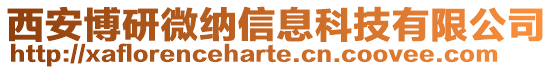 西安博研微納信息科技有限公司
