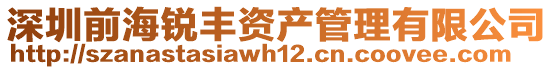 深圳前海銳豐資產(chǎn)管理有限公司