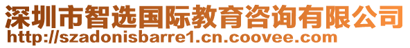深圳市智選國(guó)際教育咨詢有限公司