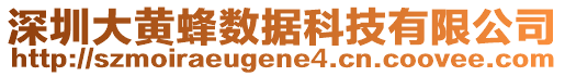 深圳大黃蜂數(shù)據(jù)科技有限公司