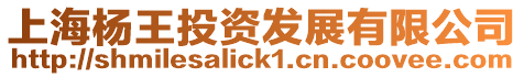 上海楊王投資發(fā)展有限公司