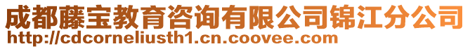 成都藤寶教育咨詢有限公司錦江分公司