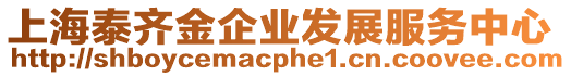 上海泰齊金企業(yè)發(fā)展服務(wù)中心