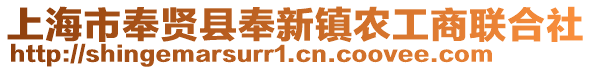 上海市奉賢縣奉新鎮(zhèn)農(nóng)工商聯(lián)合社