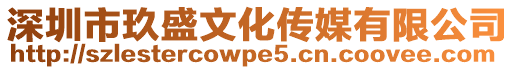 深圳市玖盛文化傳媒有限公司