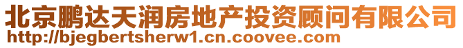 北京鵬達(dá)天潤(rùn)房地產(chǎn)投資顧問(wèn)有限公司