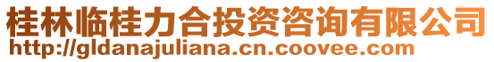 桂林臨桂力合投資咨詢有限公司