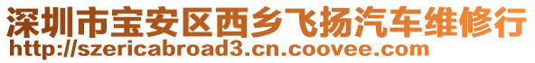 深圳市寶安區(qū)西鄉(xiāng)飛揚(yáng)汽車維修行