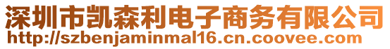 深圳市凱森利電子商務有限公司