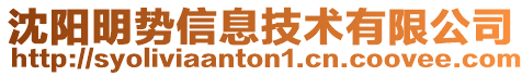 沈陽明勢信息技術有限公司