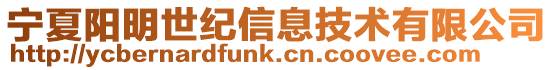 寧夏陽明世紀信息技術有限公司