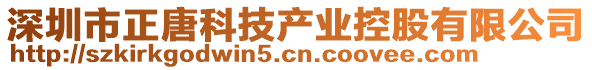 深圳市正唐科技產(chǎn)業(yè)控股有限公司