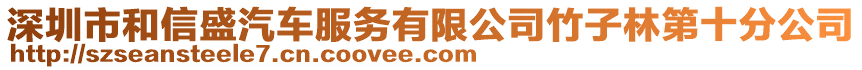 深圳市和信盛汽車服務(wù)有限公司竹子林第十分公司