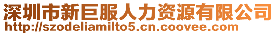 深圳市新巨服人力資源有限公司