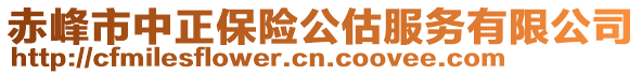 赤峰市中正保險公估服務有限公司