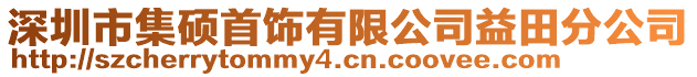 深圳市集碩首飾有限公司益田分公司