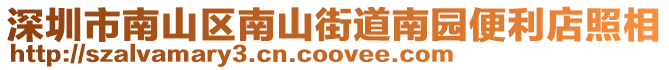 深圳市南山區(qū)南山街道南園便利店照相