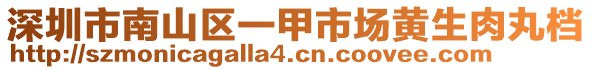 深圳市南山區(qū)一甲市場(chǎng)黃生肉丸檔