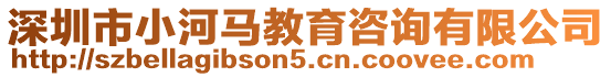 深圳市小河馬教育咨詢有限公司