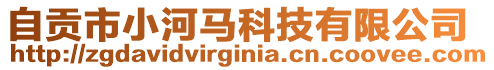 自貢市小河馬科技有限公司