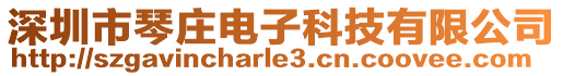 深圳市琴莊電子科技有限公司